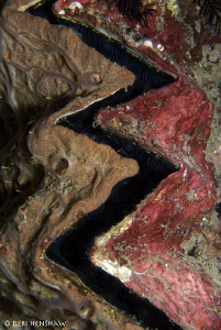 Cracked Earth Abstract by Debi Henshaw 